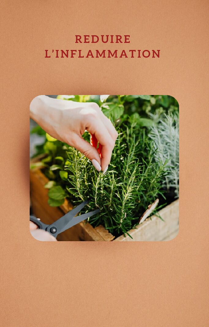 eBook - Detox douce de Janvier – Image 3